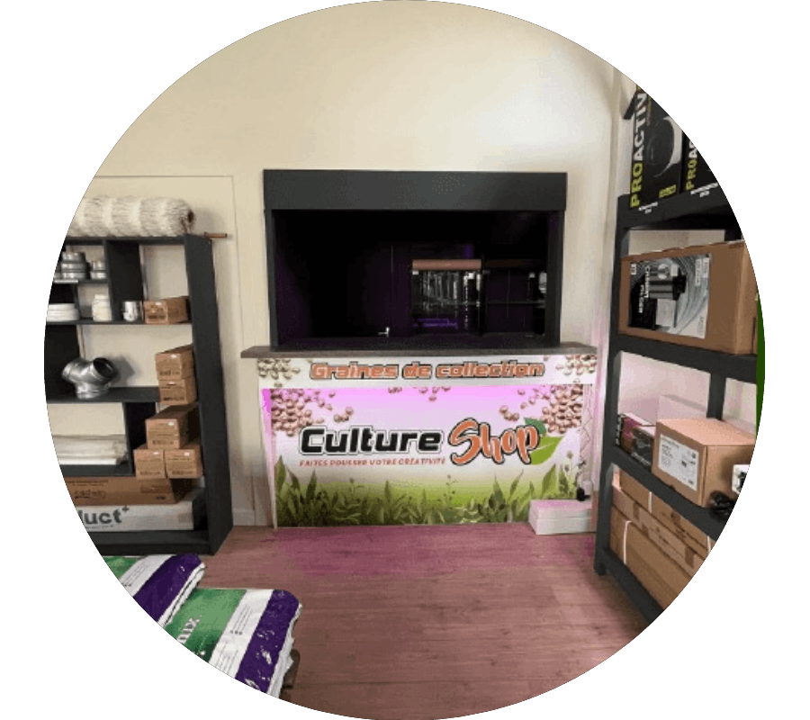 Culture Shop Culture Shop