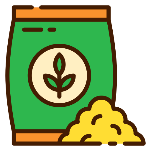 Culture Shop